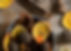 Scentsof-Christmas-05.jpeg