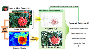 TWINGS; Thin Plate SplinesWarp-aligned Initialization for Sparse-View.jpg