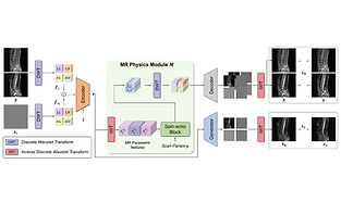 Physics-DrivenSignalRegularizationinDiffusionModelsforMulti-contrastMRImageSynthesis.png