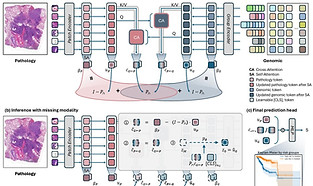 MUST; Modality-Specific Representation-Aware Transformer for Diffusion-Enhanced Survival P
