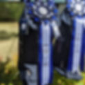 302074710_8567915719888977_8412764858904736138_n.jpg