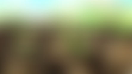 Seed funding in India That helping hand for that Big Idea