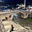 Yazarın fotoğrafı: Simge