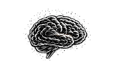 Brain Child