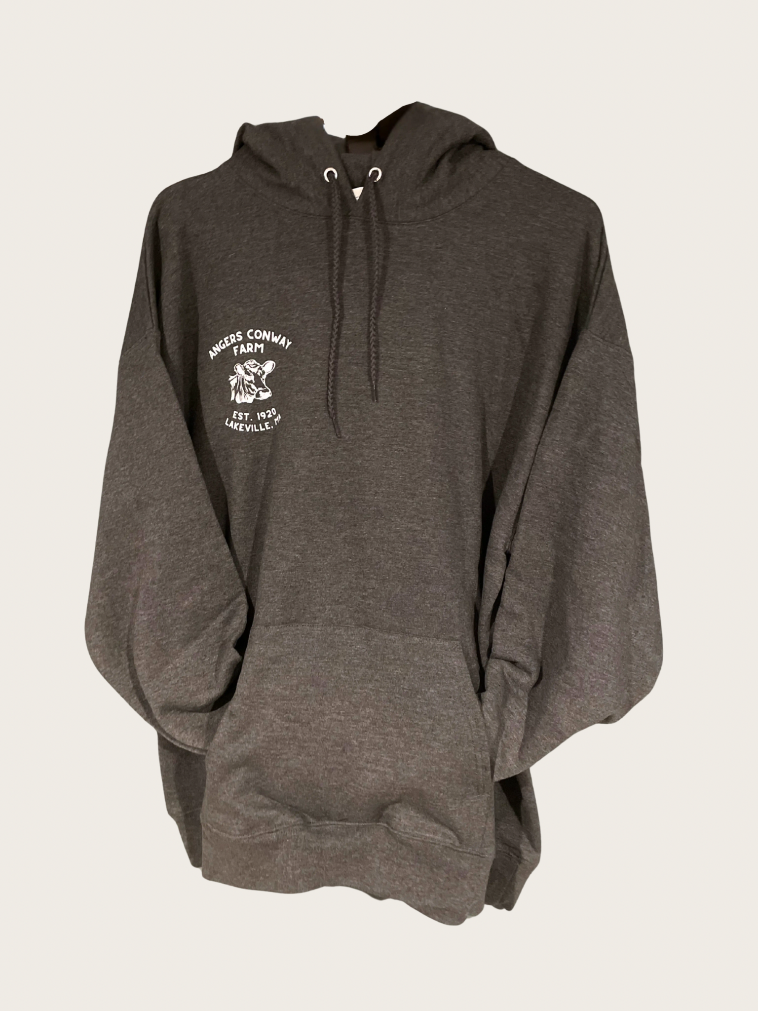 ACF Logo Hoodie