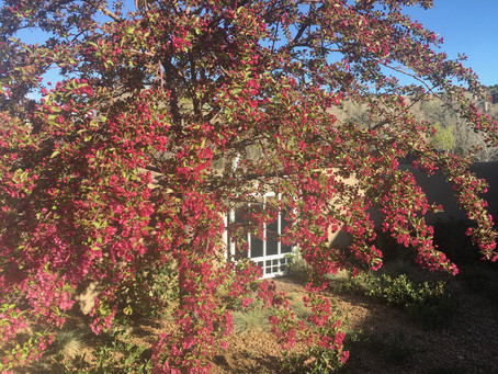 Don't Miss Out on Spring!