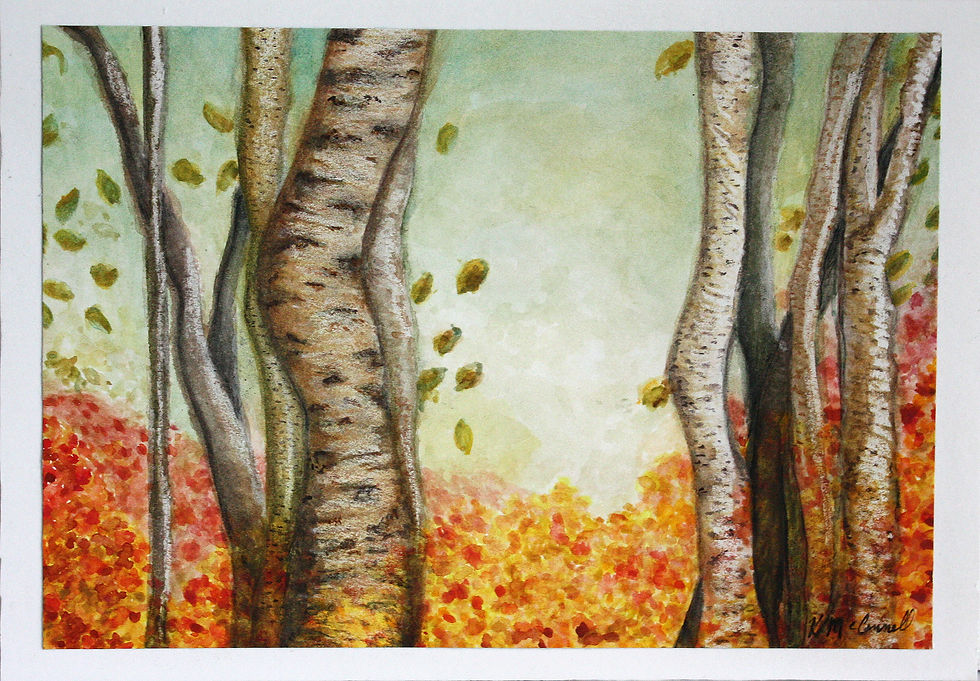 Birch Forest