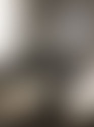 Terminó la exposición