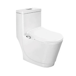 Jaquar Bidspa Rimless Single Piece WC