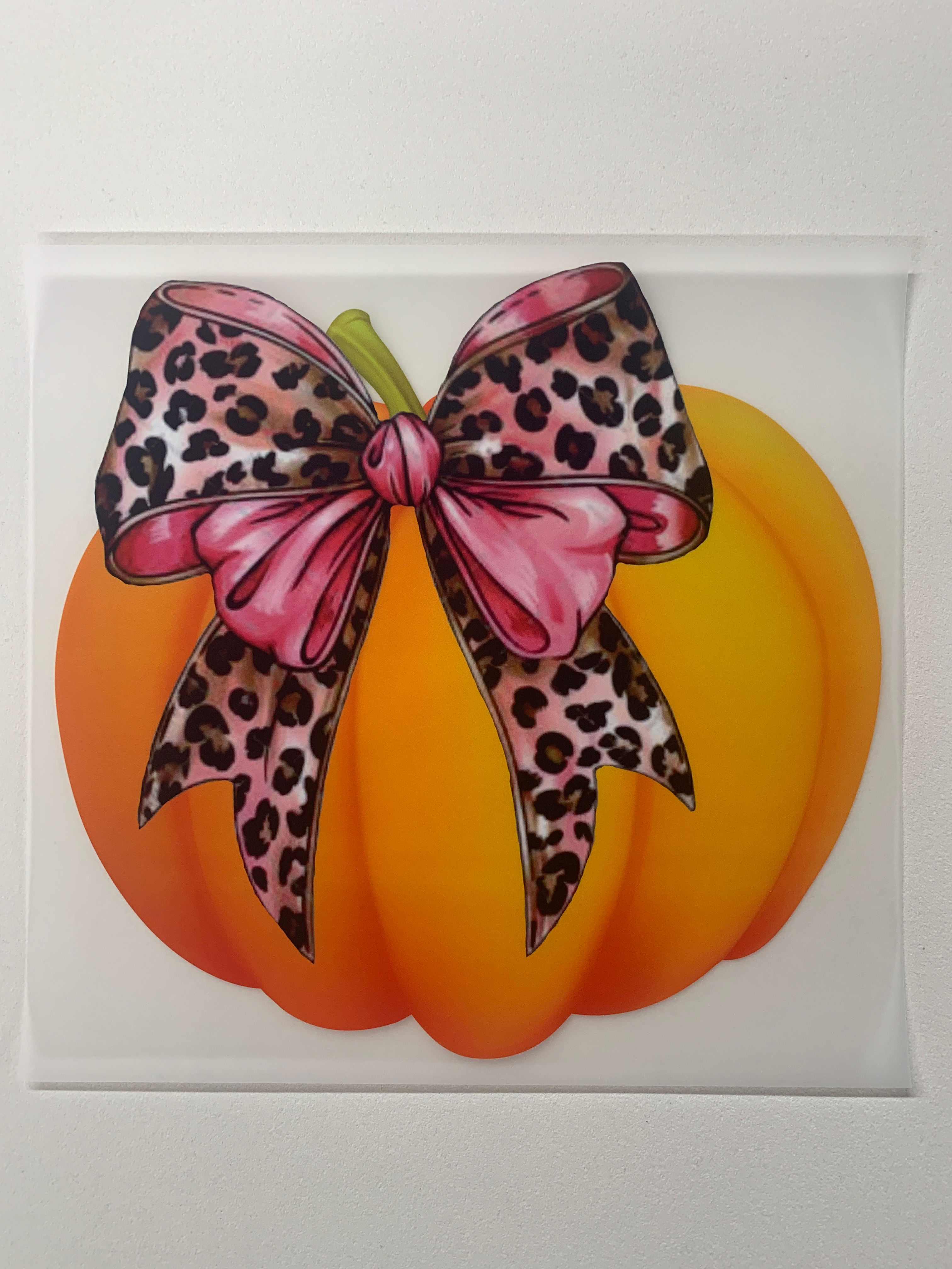 Pumpkin with Cheetah Bow