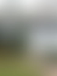 Comfort Starts Outside: How Your Exterior Systems Shape Indoor Living in New Jersey Homes