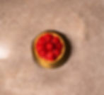 Raspberry Tart | تارت التوت