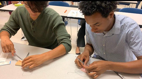 Urban Bridges Medical Mentoring Program.