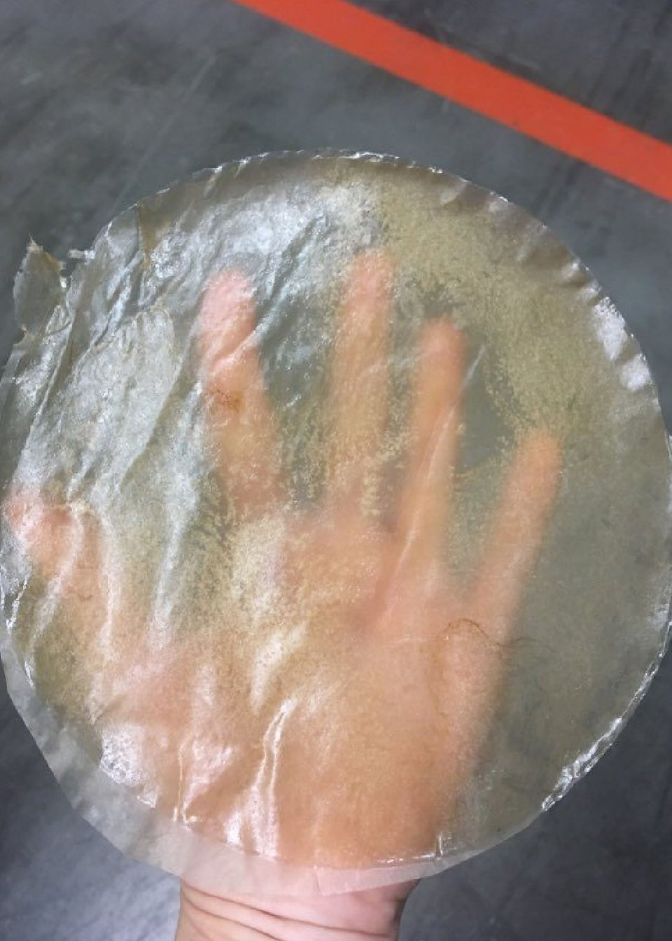 making photography with scoby