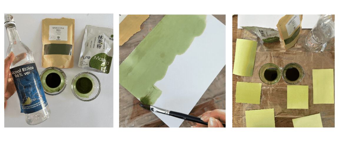 Anthotype Prints: How to Do It – A Complete Guide
