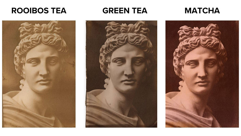 cyanotype toned with rooibos tea, green tea and matcha