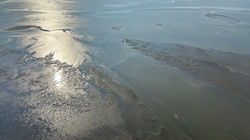 Wattenmeer