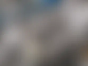 Stronger, Fitter, More Confident — Adult Martial Arts in Parramatta & Castle Hill