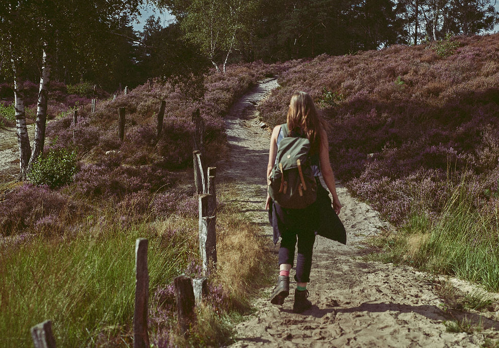 Dein Weg_edited.jpg