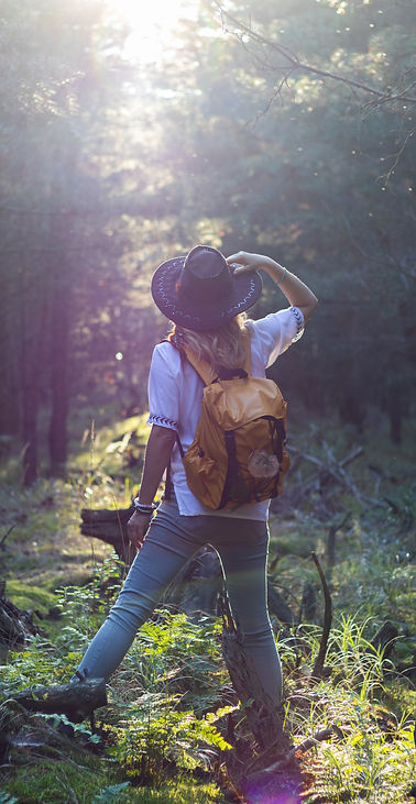 AdobeStock_290731307.jpeg