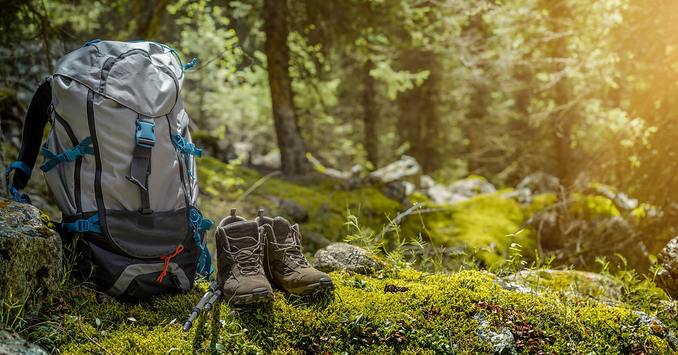 AdobeStock_210606543.jpeg