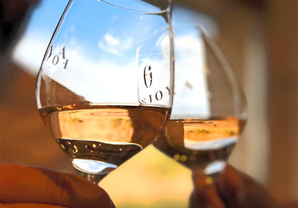 rosé wine Langudoc Roussillon France 