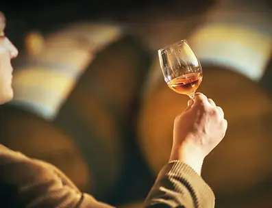 Oeunologre tasting rose wine in a cellar