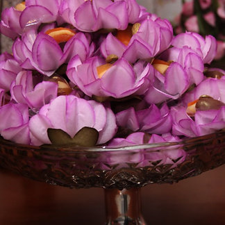 4ab373_f67b685f1e624fa9a9bd75a44e6a5875.