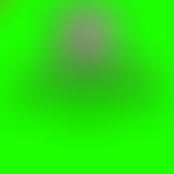 काले घोड़े की नाल