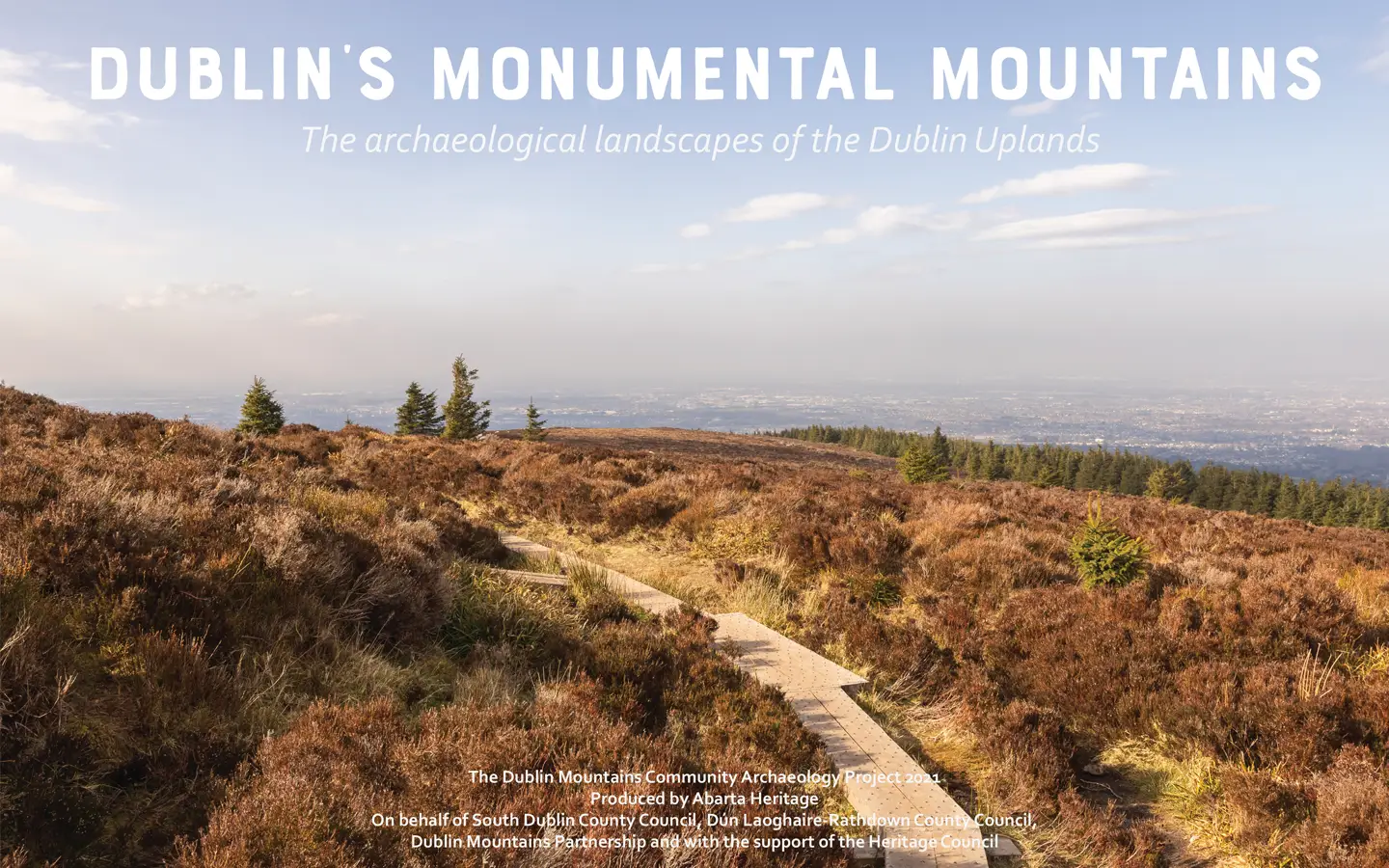 Image of the cover from Dublin's Monumental Mountains