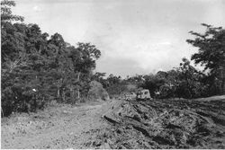 Route dans l'est.jpg