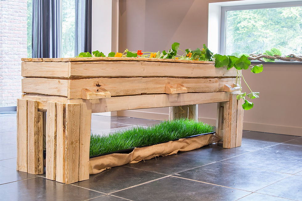 Koeling met graszoden als alternatief
