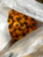 ree