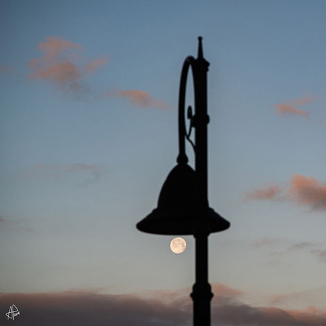 Moon Bulb