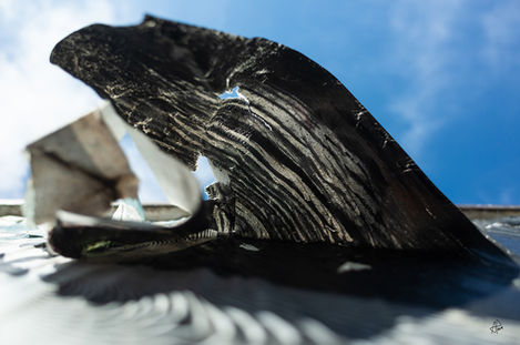The Monster that Ate the Ship that Sailed the Sea