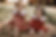 IMG_1074.JPEG