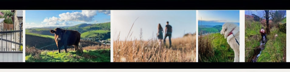 make memories at caner bach lodge