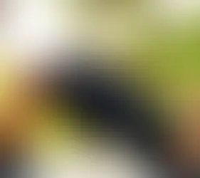 JAK ZDROWO STRACIĆ NA WADZE W LECIE?