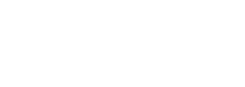 Teriyaki Madness