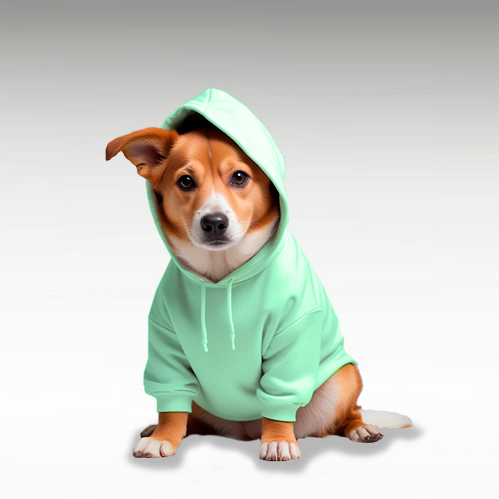 Miniatura: HOODIE PARA MASCOTA
