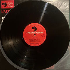 jimi hendrix collector vinyls / backtrack 2 /new zealand