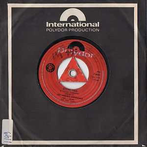 COLLECTOR HEY JOE/ hendrix rotily vinyl