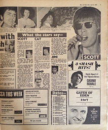 jimi hendrix newspaper collector 1967 / disc music echo april 8, 1967