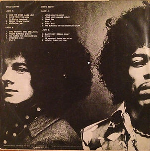 jimi hendrix r. p. vinyl collector