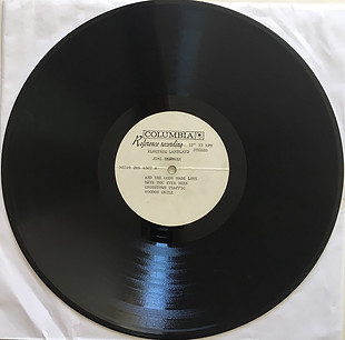 jimi hendrix rotily vinyl electric landlady