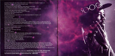 jimi hendrix family edition/ south saturn delta / CD