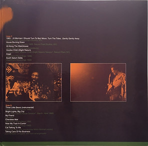 jimi hendrix vinyls albums/the swingin'pig records color vinyl/alternate electric ladyland