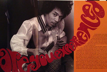 hendrix rotily vinyl collector family edition/are you experienced