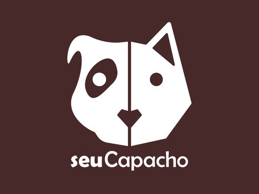 Design e a criação de identidade de marca e experiência do usuário - Case SEU CAPACHO