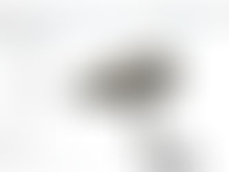 Fusion 360 para iniciantes - Módulo 1